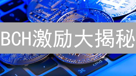 BCH激励大揭秘：挖矿、质押，哪个更划算？