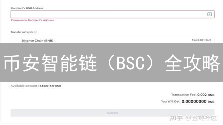 币安智能链（BSC）全攻略：新手也能玩转DeFi🔥