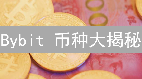 Bybit 币种大揭秘：新手到老手，玩转加密货币交易！