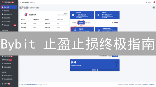Bybit 止盈止损终极指南：锁定利润，规避爆仓风险！