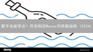 新手也能学会！币安购买Waves币终极指南 (2024)